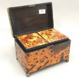 A Japanese tortoiseshell tea caddy