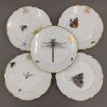 Five 19th century Continental porcelain plates decorated with various insects and butterflies