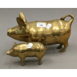 Two brass pigs