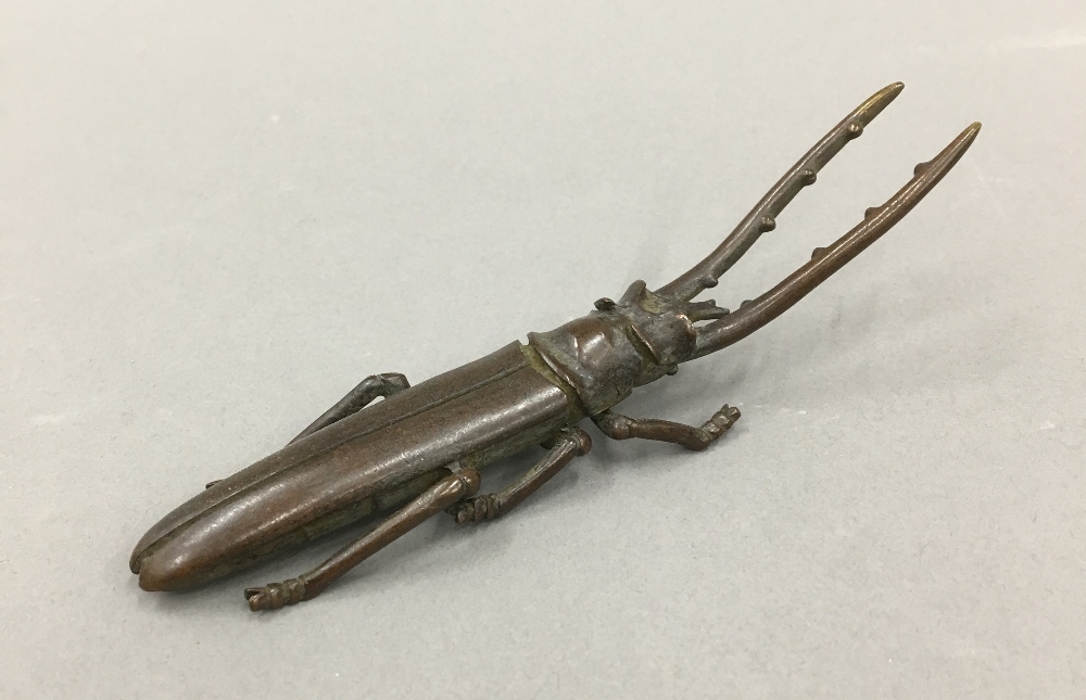 A bronze model of a beetle