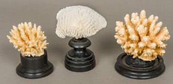 Three coral specimens Each mounted on a display plinth. The largest 13 cm high.