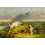 T LANGLOIS (19th century) British Terriers by a Rabbit Hole Oil on canvas, signed, framed. 34.