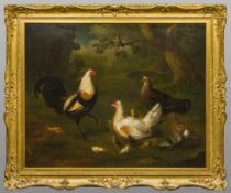 Attributed to LOUIS HUBNER (1694-1769) German A Duckwing Game Cock, Hens and Chicks in a Farm,