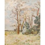 CONTINENTAL SCHOOL (early 20th century) Tree Study Oil on canvas, framed. 39 x 49.5 cm.