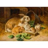 ALFRED RICHARDSON BARBER (1841-1925) British Family of Rabbits Oil on canvas, signed,