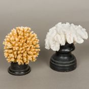 Two coral specimens Each mounted on a display plinth. The largest 15 cm high.
