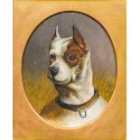 Attributed to MAUDE EARL (1864-1943) British Buster - A Fighting Dog Oil on board, framed. 17.