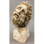 After the Antique Stone carving of a bearded man Mounted on a carved stone plinth base. 29 cm high.