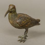 A late 19th/early 20th century Austrian cold painted bronze model of a snipe Naturalistically