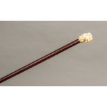 A Victorian carved ivory handled walking stick The handle formed as a snarling dog above the plain
