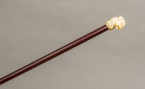 A Victorian carved ivory handled walking stick The handle formed as a snarling dog above the plain