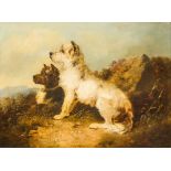 W H J HARDY (19th/20th century) British Terriers on a Heath Oil on canvas, indistinctly signed,