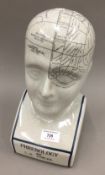 A phrenology head