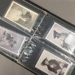A quantity of postcards depicting various vintage actresses
