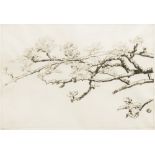 SYLVIA MILLS WHITHAM (early 20th century) British Prunus Blossom Limited edition engraving,