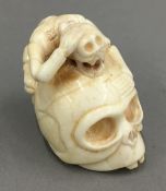 A bone netsuke formed as a skull