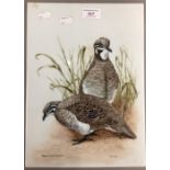 A porcelain plaque painted with squatter pigeons, by D JOHNSON (Australia),