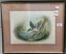 CHRISTOPHER SCALES, Kingfisher, watercolour, signed and dated,