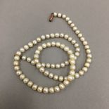 A cultured pearl necklace with a 9 ct gold clasp