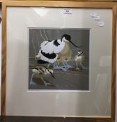 ROBERT GILLMOR, Avocet and Chicks, limited edition print,