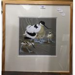 ROBERT GILLMOR, Avocet and Chicks, limited edition print,