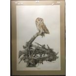 G BRYAN REED (20th century) British, Tawny Owl, signed limited edition print,