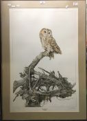 G BRYAN REED (20th century) British, Tawny Owl, signed limited edition print,