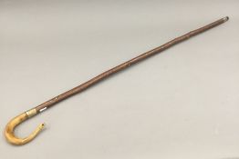 A horn handled walking stick