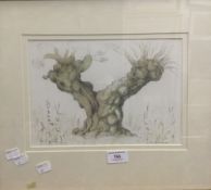 DAVID GENTLEMAN (born 1930) British, Tree Study, pencil and watercolour, signed,