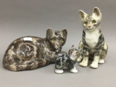 Three Winstanley cats, sizes 5,