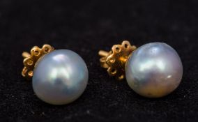 A pair of unmarked gold and South Seas pearl stud earrings Each approximately 8mm diameter.