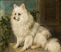 JOHN EMMS (1844-1912) British Portrait of a Pomeranian Oil on canvas, signed, framed. 34 x 29 cm.