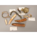 A collection of African natural history curios Including hippo teeth and a python skin,