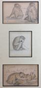 ENGLISH SCHOOL (19th century) Studies of Jacco Macacco Pencil and wash, signed with initials,