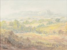 PETER GLADMAN (20th century) Zimbabwean Extensive Landscape Oil on board,