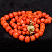 A single strand coral bead necklace Set with an 18 ct gold clasp. Approximately 78 cm long.