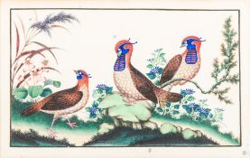 CHINESE SCHOOL (19th century) Exotic Birds Amongst Flowers Bodycolour on rice paper,