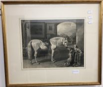 Horse with Hound and Terrier, engraving,