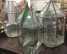 A collection of four various terrarium