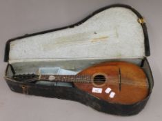 A Continental mandolin,