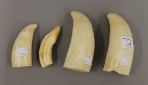 Three whales teeth and a small boar tusk section