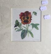 DONALD MYALL (20th century), Botanical watercolour, signed, framed and glazed, 12 x 13.