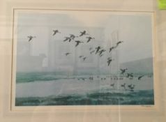 PETER SCOTT, Pintails on a Hazy Day, print, signed,