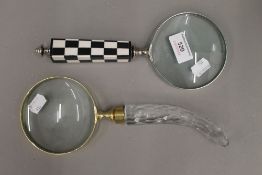 Two magnifying glasses