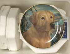 A quantity of boxed Labrador themed collector's plates