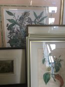 A quantity of framed and glazed decorative prints,