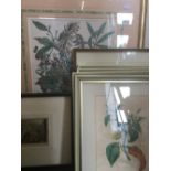 A quantity of framed and glazed decorative prints,