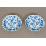 A pair of Chinese blue and white porcelain saucers Each floral decorated within a crimped rim,
