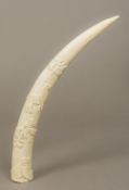 An early 20th century carved tusk Worked in the round with animals and insects. 42 cm long.