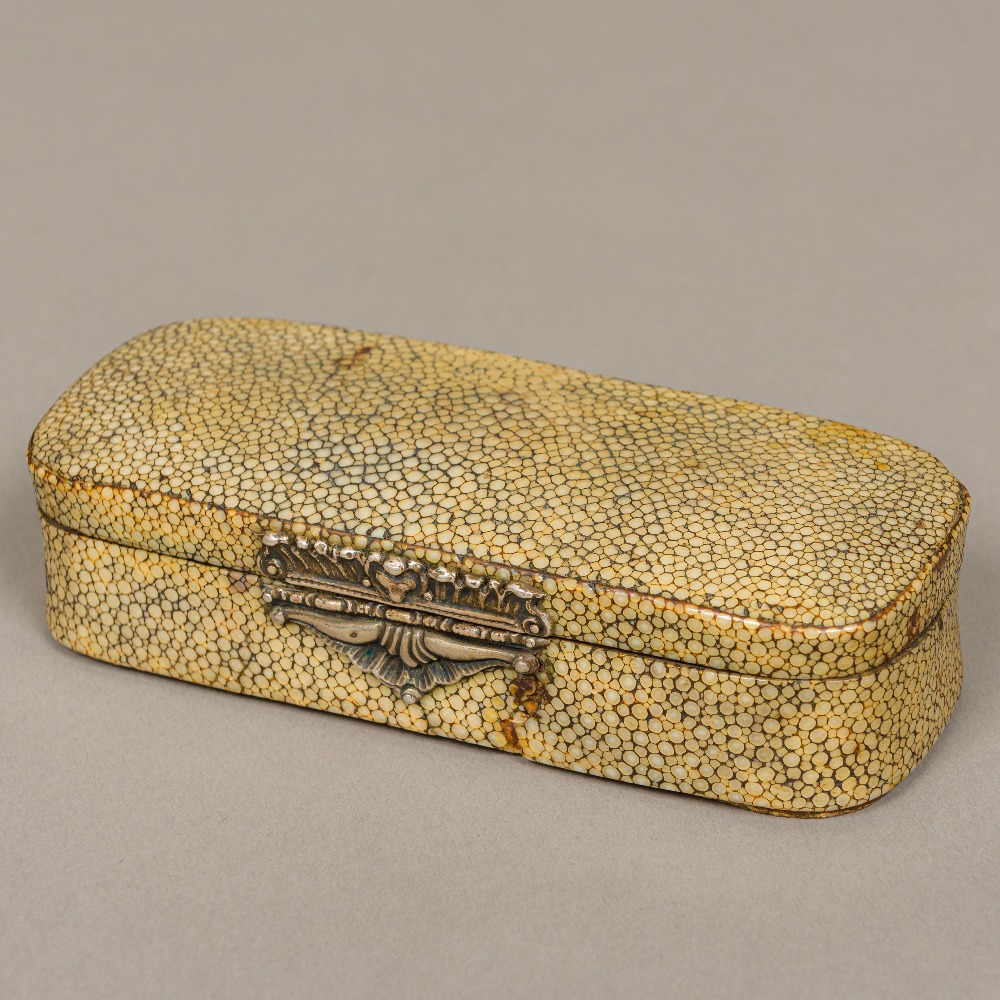 An 18th century Continental shagreen covered box Of lightly domed hinged rounded rectangular form,